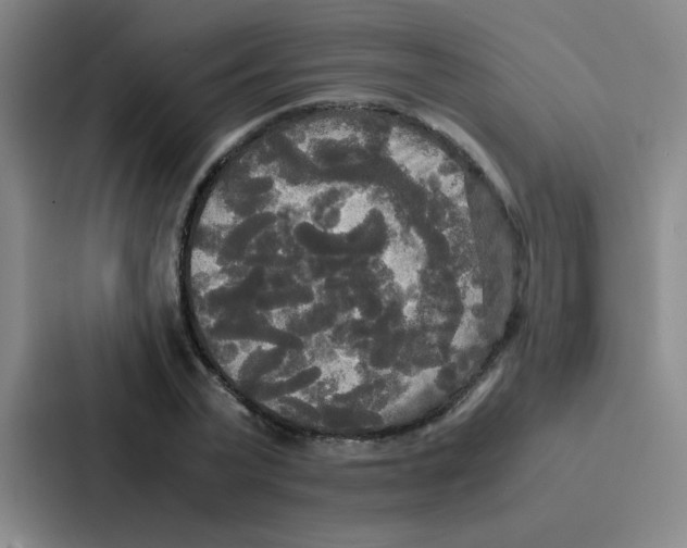 X0000086920783200705141721