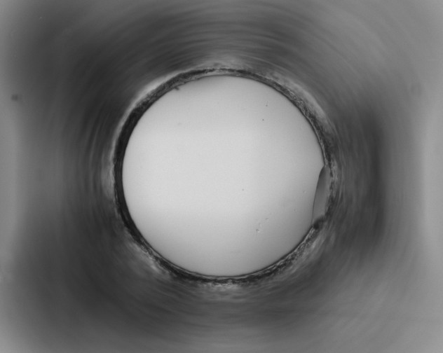 X0000086920784200705141721