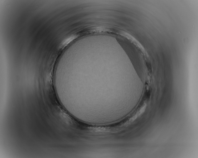 X0000086920785200705141721
