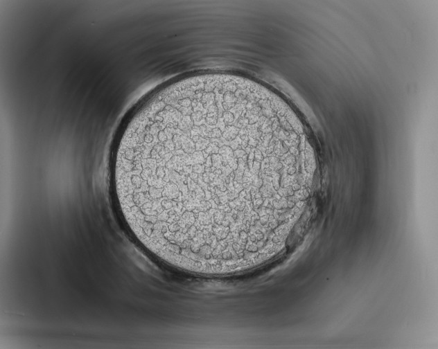 X0000086920787200705141721