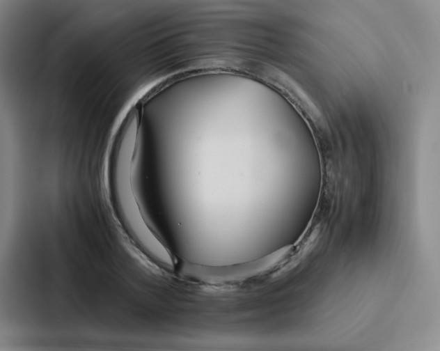 X0000086920788200705141721