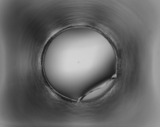 X0000086920789200705141721