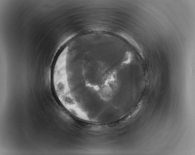 X0000086920790200705141721