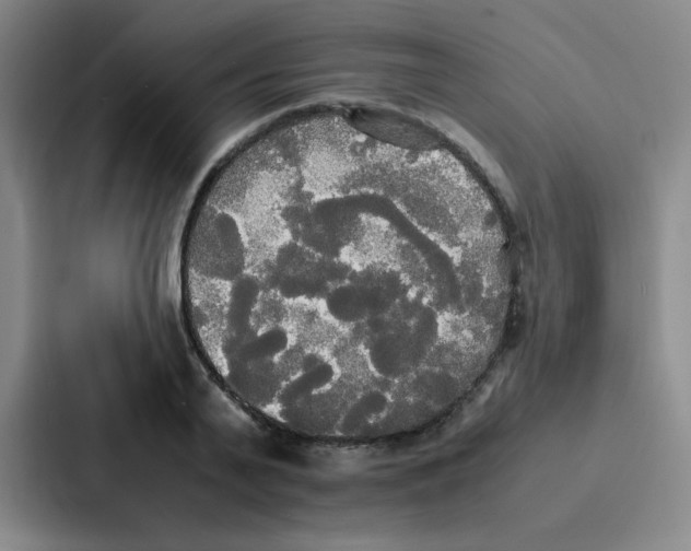 X0000086920791200705141721