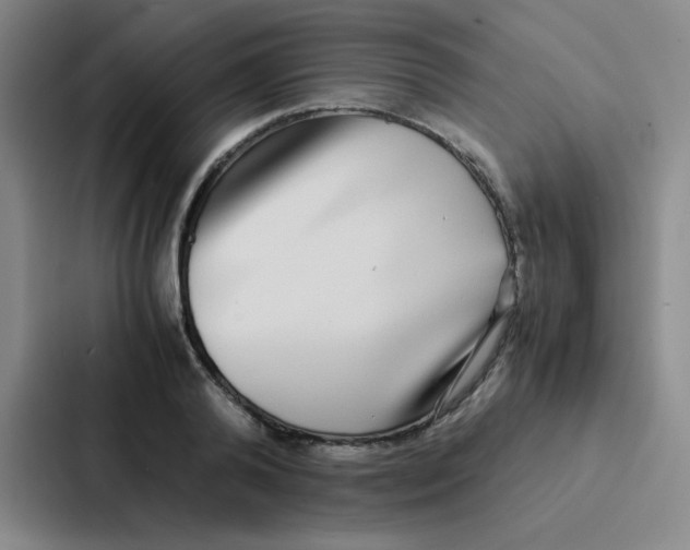 X0000086920792200705141721