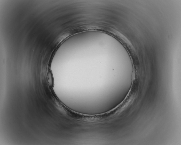 X0000086920793200705141721