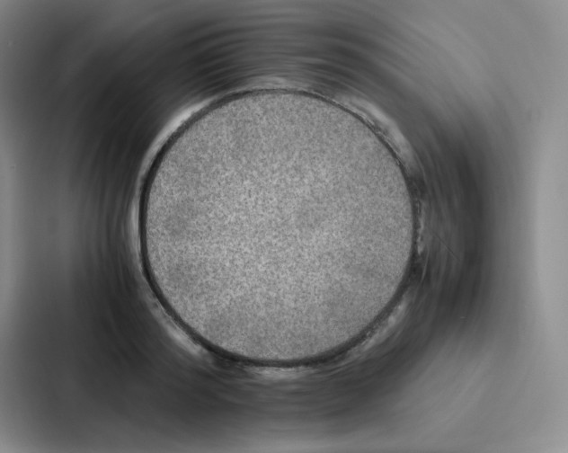 X0000086920796200705141721