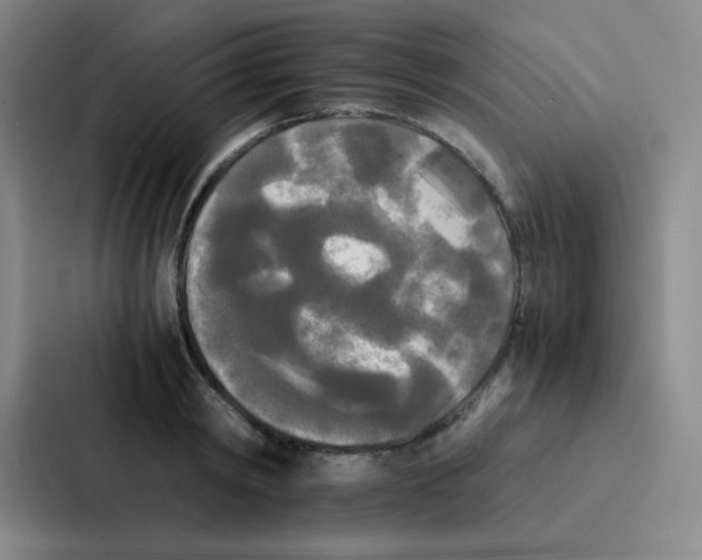 X0000086920798200705141721
