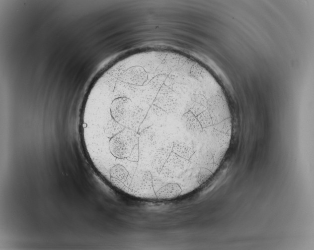 X0000086920799200705141721