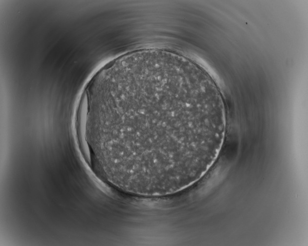 X0000086920803200705141721