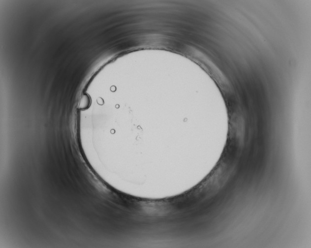 X0000086920804200705141721
