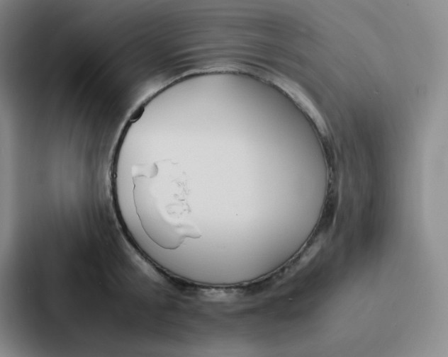 X0000086920805200705141721