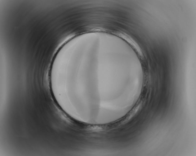 X0000086920806200705141721