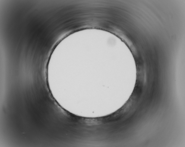 X0000086920807200705141721