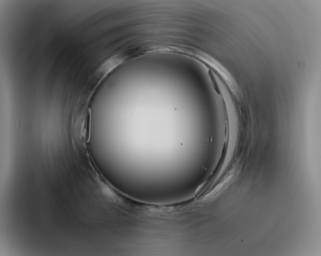 X0000086920809200705141721