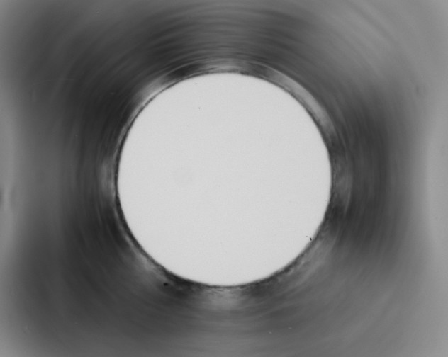 X0000086920810200705141721