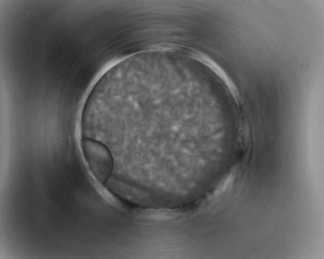 X0000086920811200705141721
