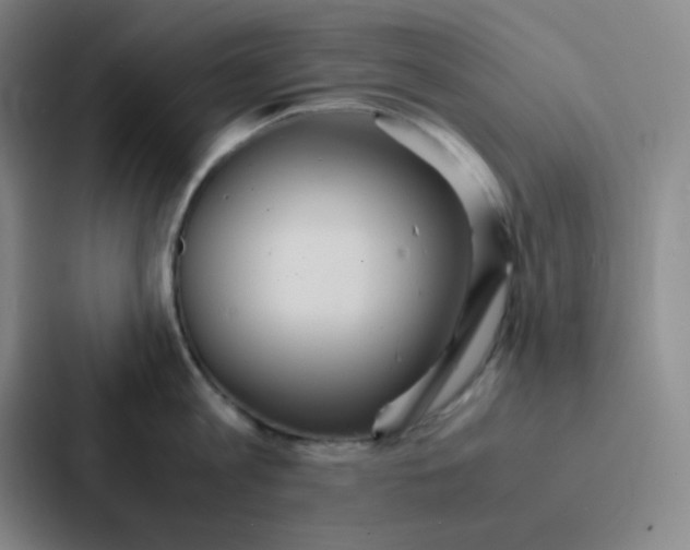 X0000086920813200705141721