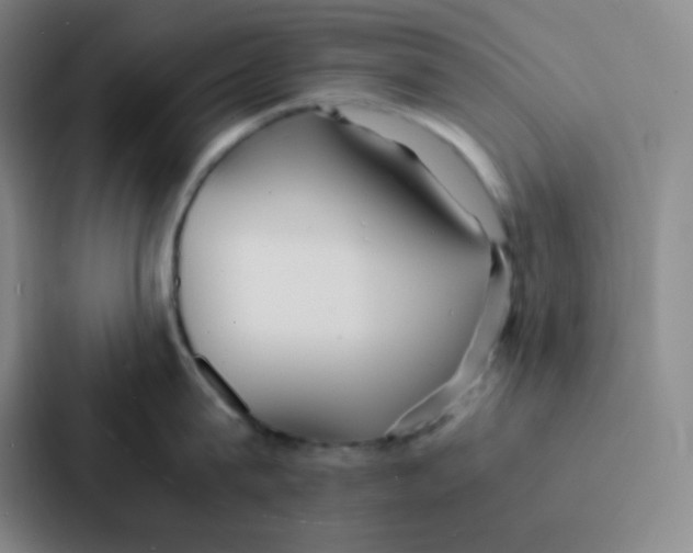 X0000086920815200705141721