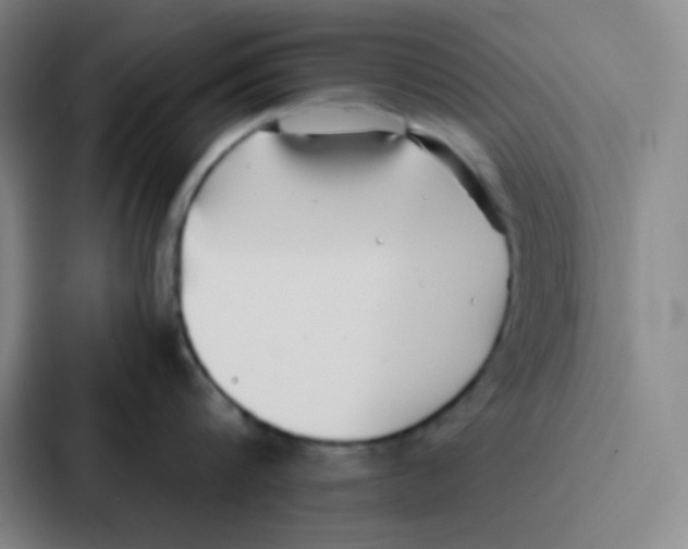 X0000086920816200705141721