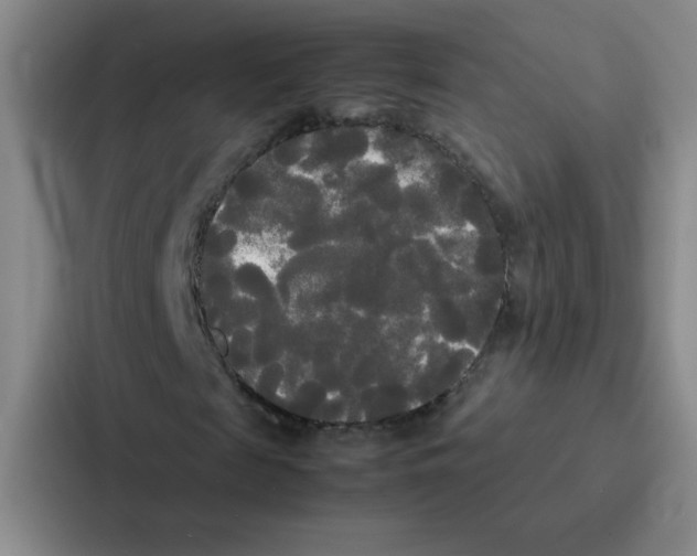 X0000086920817200705141720