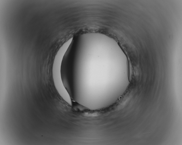 X0000086920818200705141720