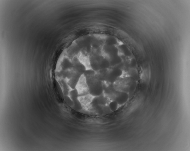 X0000086920819200705141720