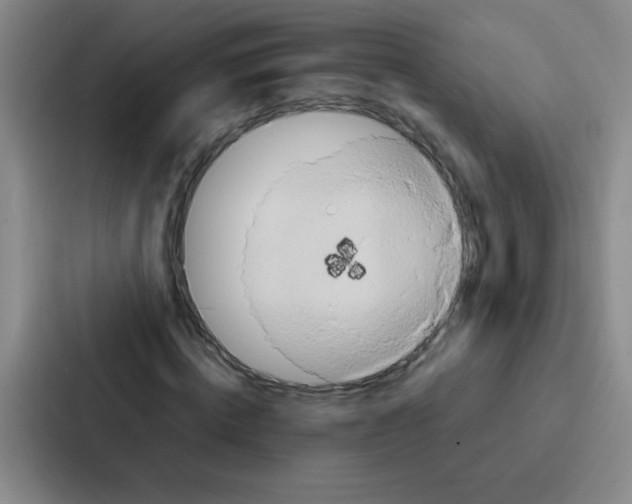 X0000086920820200705141720
