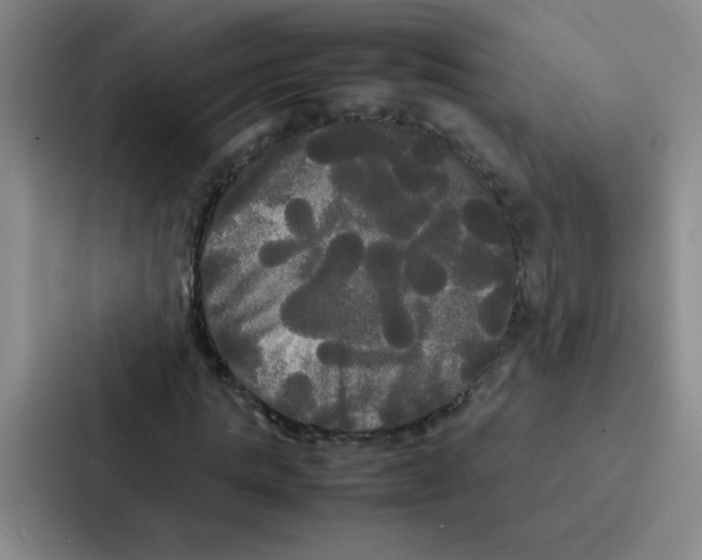 X0000086920821200705141720