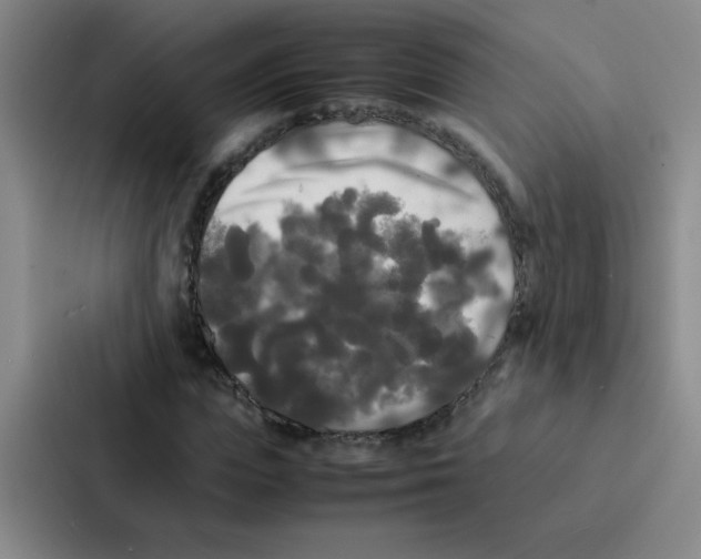 X0000086920823200705141720