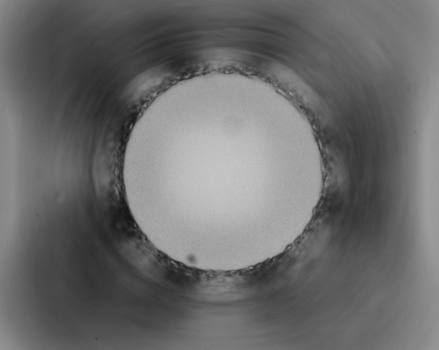 X0000086920824200705141720