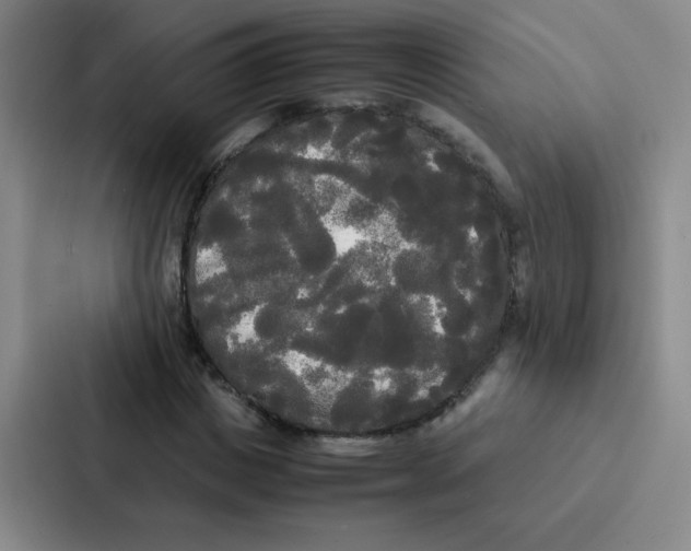 X0000086920825200705141720