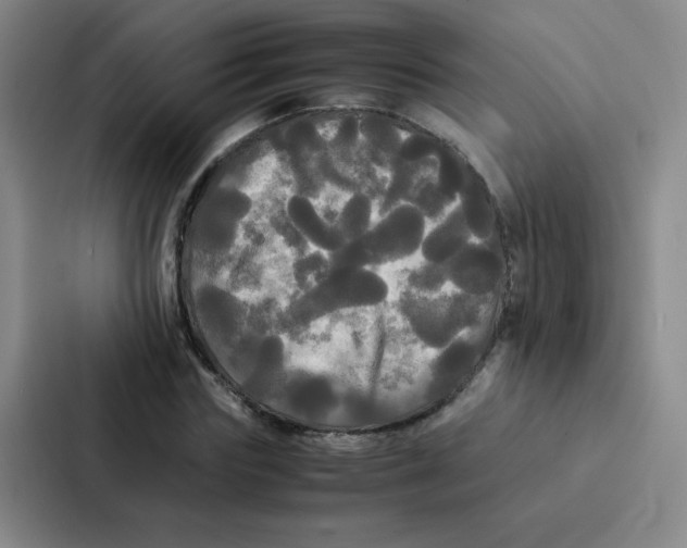 X0000086920827200705141720