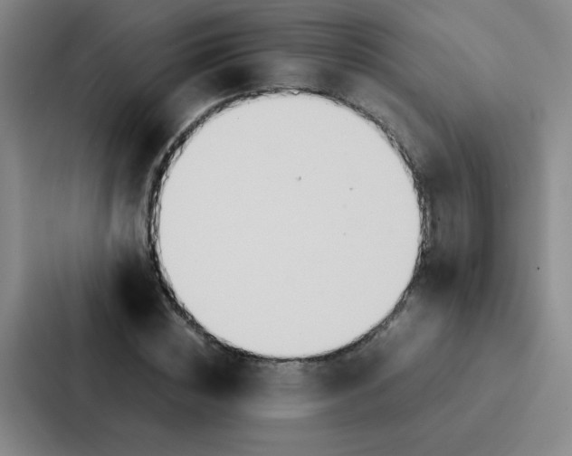 X0000086920828200705141720