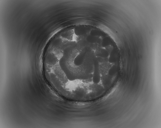 X0000086920829200705141720