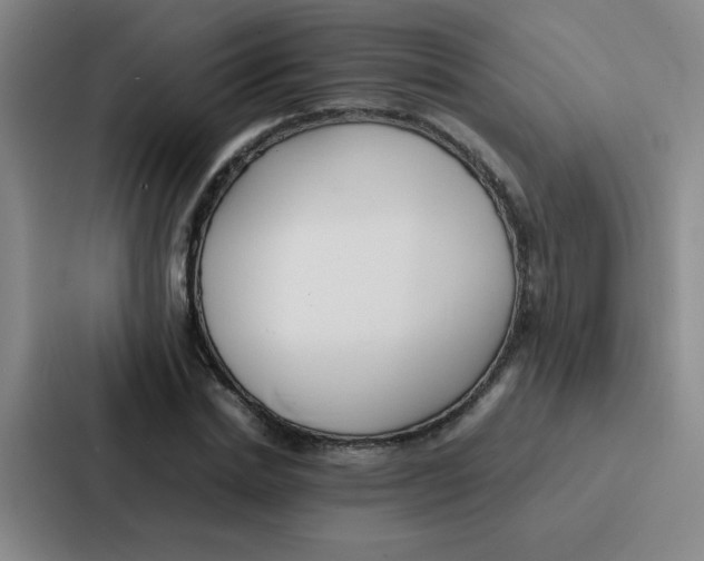 X0000086920830200705141720