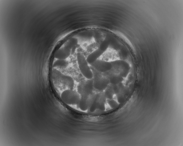X0000086920831200705141720