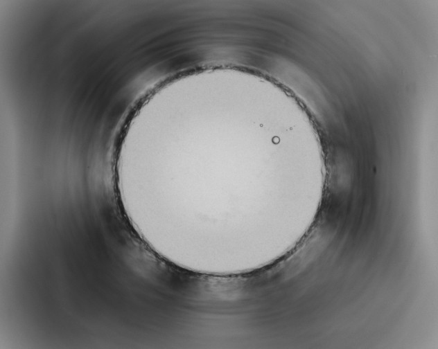 X0000086920832200705141720