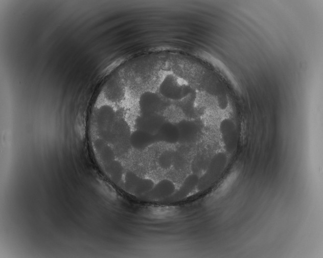 X0000086920833200705141720
