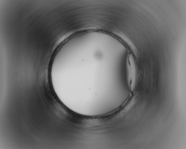X0000086920834200705141721