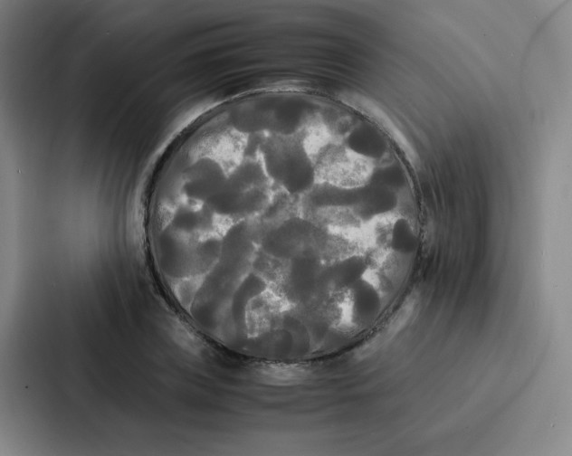 X0000086920835200705141721