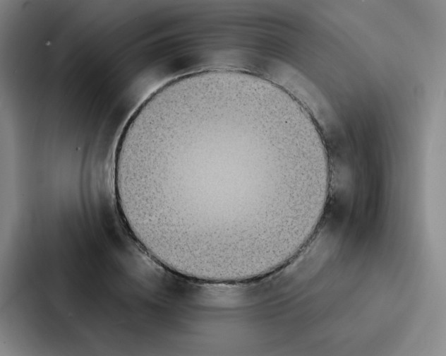 X0000086920836200705141721