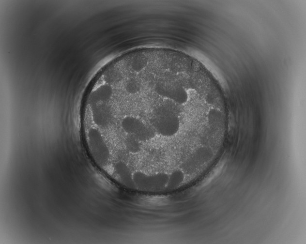 X0000086920837200705141721