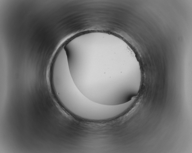 X0000086920838200705141721