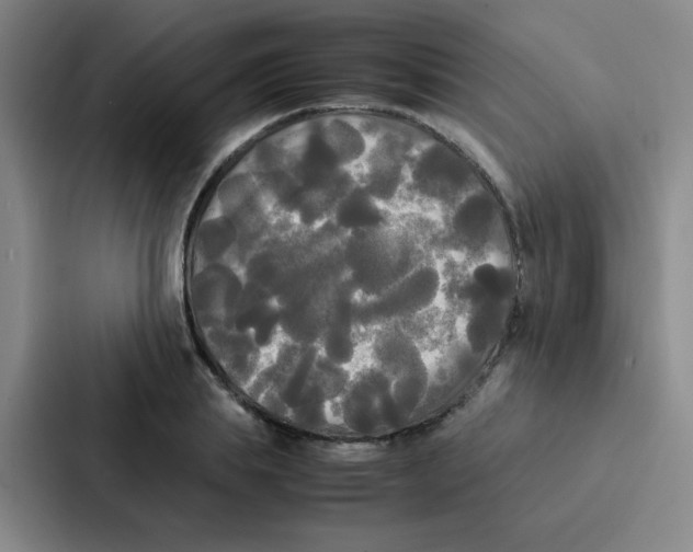 X0000086920839200705141721