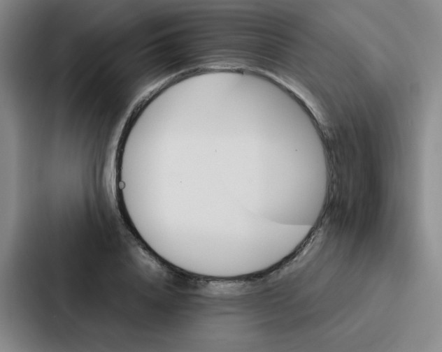X0000086920840200705141721