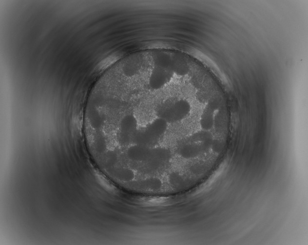 X0000086920841200705141721