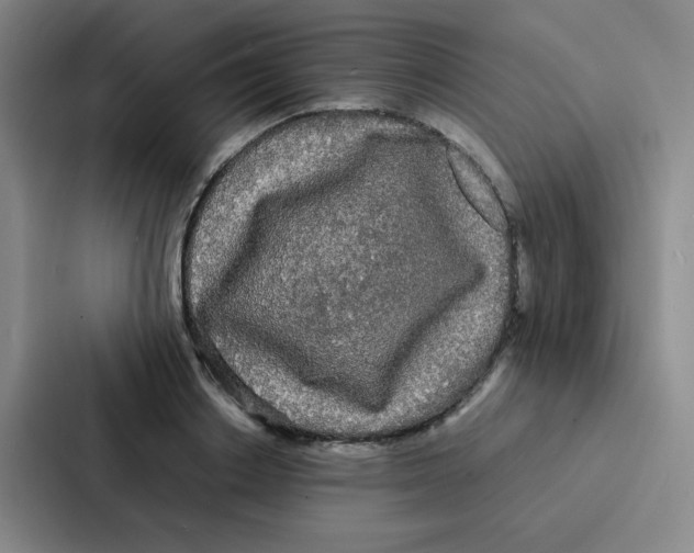 X0000086920842200705141721