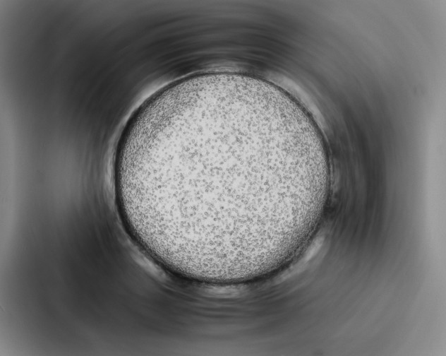X0000086920843200705141721