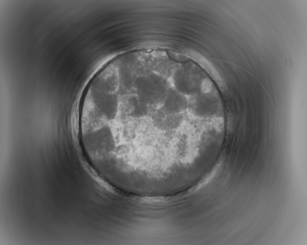 X0000086920844200705141721